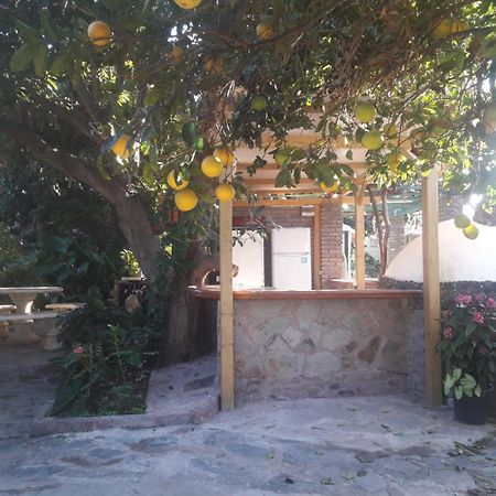 Finca Los Aguacates Trapiche  Dış mekan fotoğraf